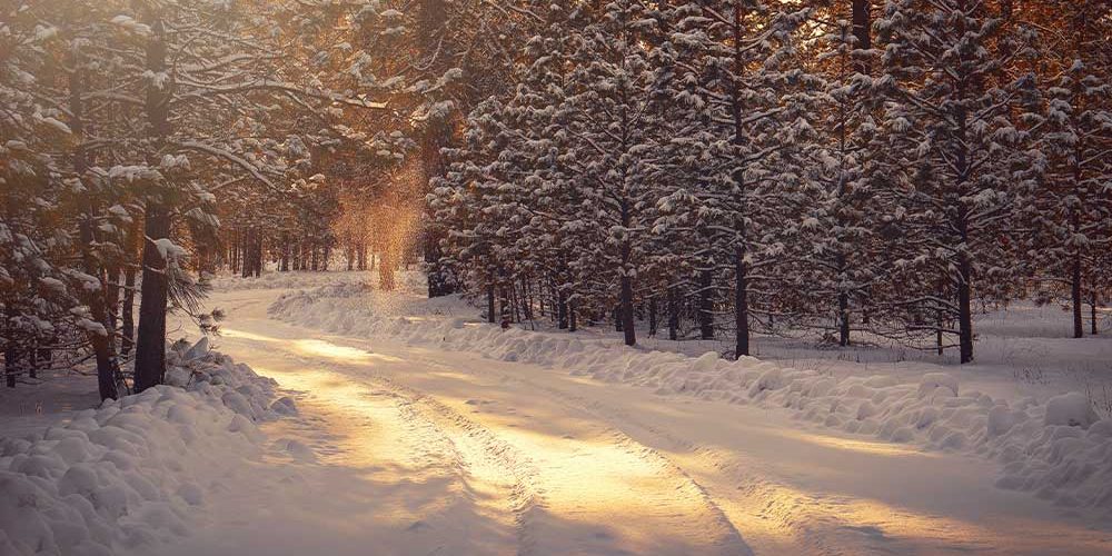 Verschneiter Weg im Wald bei Sonnenuntergang.