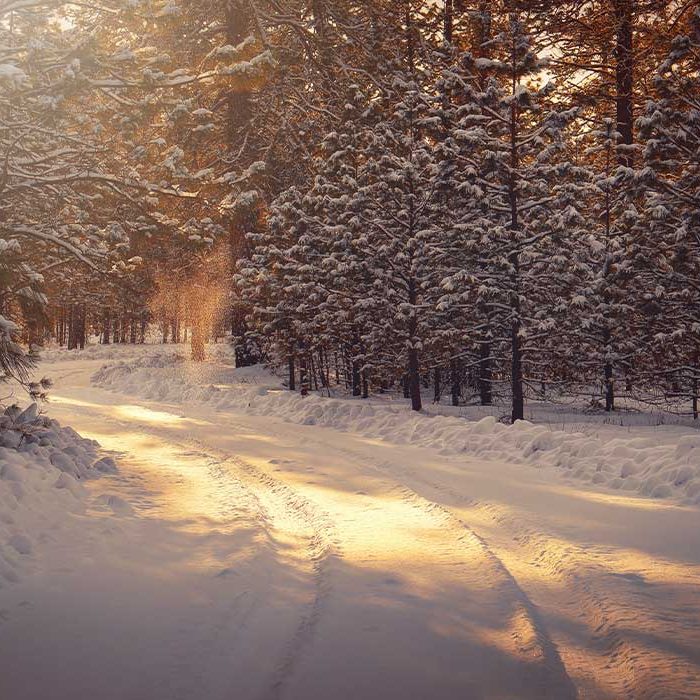 Verschneiter Weg im Wald bei Sonnenuntergang.